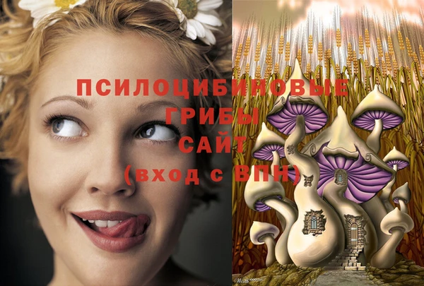 apvp Инта