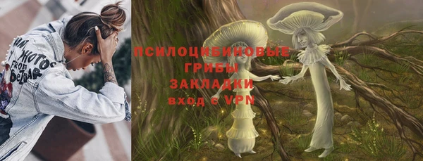 apvp Инта