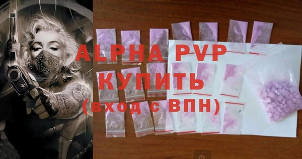 apvp Инта