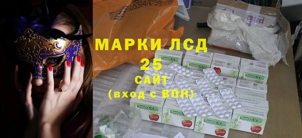 apvp Инта