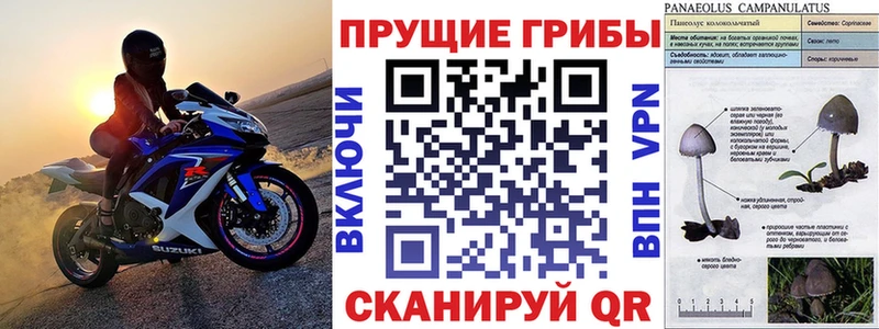 Галлюциногенные грибы ЛСД  Купить где  Жуковка 